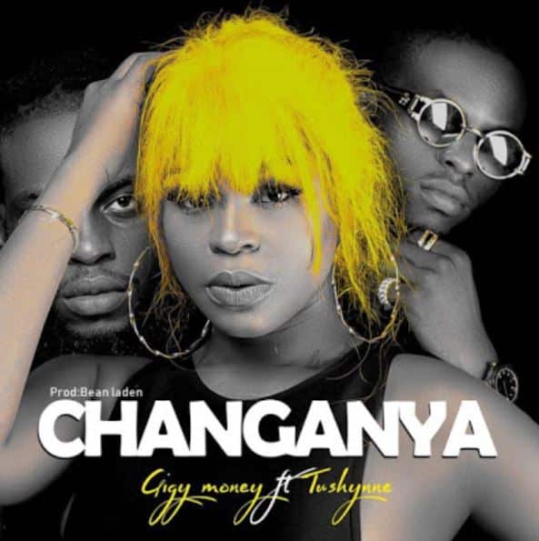 AUDIO Gigy Money Ft Tushynne - Changanya MP3 DOWNLOAD