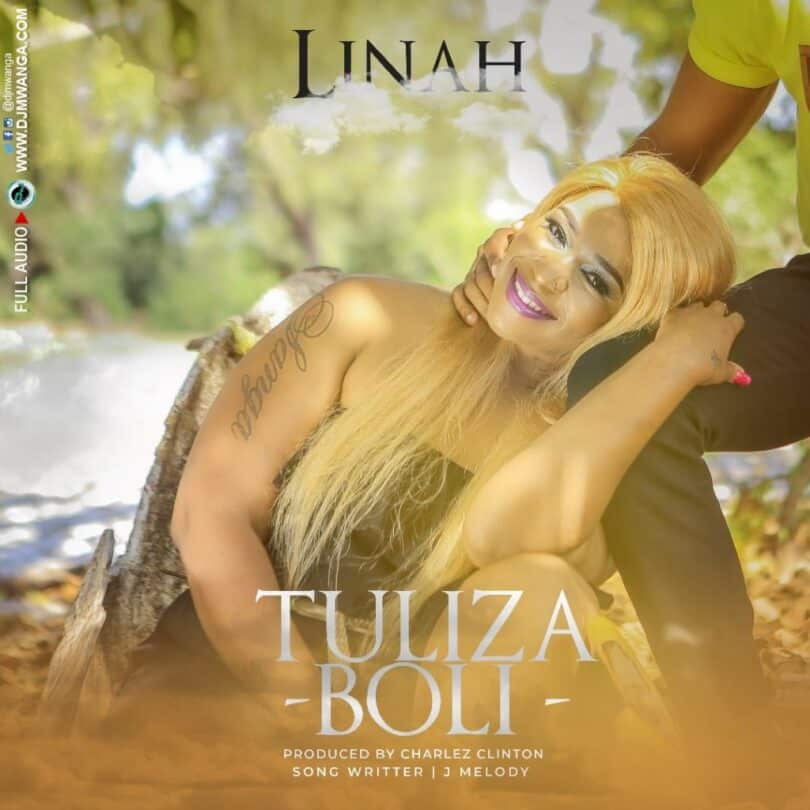 AUDIO Linah - Tuliza Boli MP3 DOWNLOAD