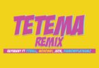 AUDIO Rayvanny Ft Diamond Platnumz X Pitbull X Mohombi X Jeon - Tetema remix MP3 DOWNLOAD