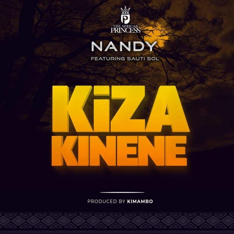 DOWNLOAD MP3 Nandy Ft Sauti Sol - Kiza Kinene