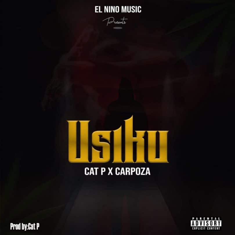 AUDIO Carpoza Ft Cat P - Usiku MP3 DOWNLOAD