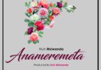 DOWNLOAD MP3 Nuh Mziwanda - Anameremeta
