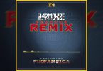 AUDIO Harmonize Ft Fik Fameica - Bedroom Remix MP3 DOWNLOAD
