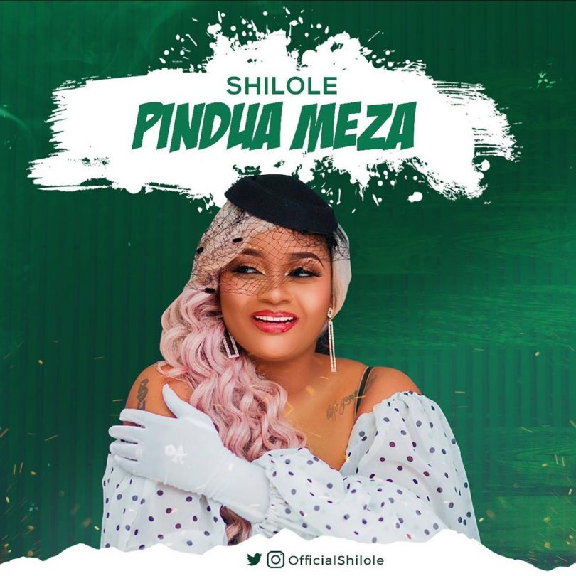 AUDIO Shilole – Pindua Meza MP3 DOWNLOAD