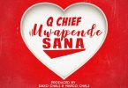 AUDIO Q Chief - Uwapende sana MP3 DOWNLOAD