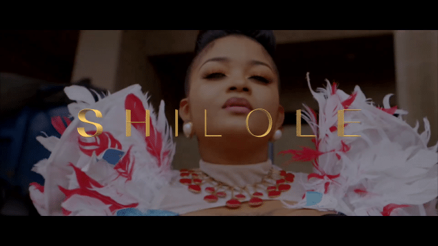 DOWNLOAD VIDEO Shilole – Pindua Meza Mp4