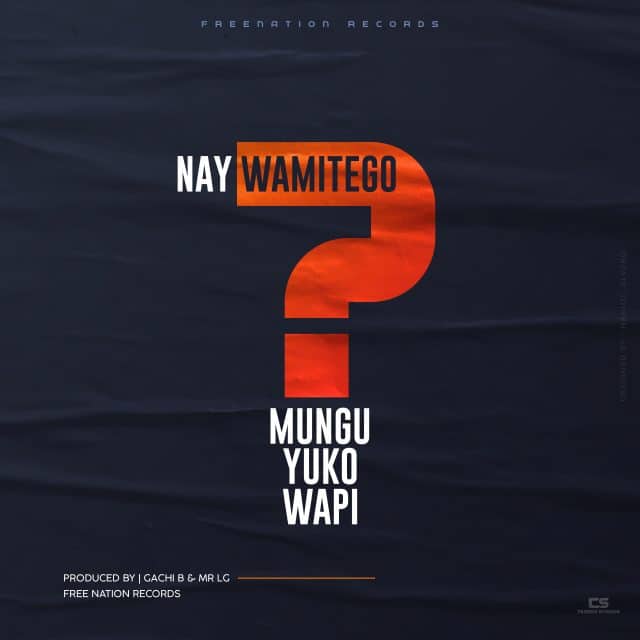 DOWNLOAD MP3 Nay Wa Mitego - Mungu Yuko Wapi Ft Shamy