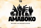 DOWNLOAD MP3 Rayvanny Ft Diamond Platnumz - Amaboko