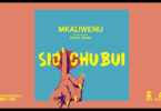 AUDIO Diamond Platnumz Ft Mkaliwenu -Sijichubui (Haunisumbui Remix) MP3 DOWNLOAD