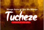 DOWNLOAD MP3 Msaga Sumu X Nay Wa Mitego - Tucheze