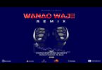 AUDIO Stamina - WANAO WAJE Remix Ft Mr blue X MontDedee X Jacobeat & Moni Centrozone MP3 DOWNLOAD