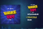 AUDIO Mr Nana – Pole Pole ft Kasim Mganga MP3 DOWNLOAD