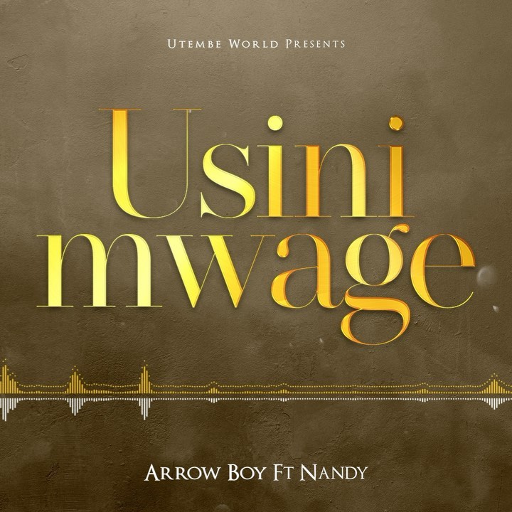 AUDIO Arrow Bwoy - Usinimwage Ft Nandy MP3 DOWNLOAD