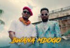 VIDEO Alikiba - Bwana Mdogo Ft Patoranking MP4 DOWNLOAD