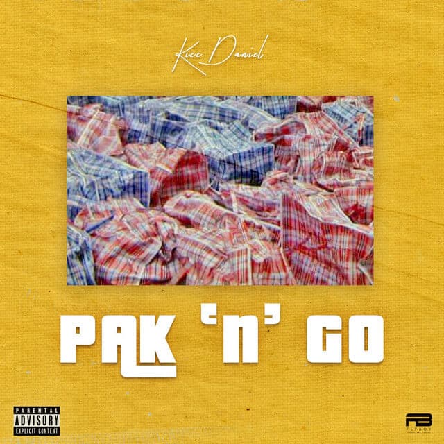 AUDIO Kizz Daniel - Pak n Go MP3 DOWNLOAD