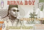 AUDIO Burna Boy - Collateral Damage MP3 DOWNLOAD