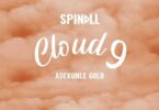 AUDIO Dj Spinall Ft. Adekunle Gold - Cloud 9 MP3 DOWNLOAD
