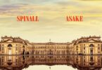 AUDIO Dj Spinall Ft. Asake - Palazzo MP3 DOWNLOAD