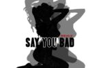 AUDIO Skales Ft. 1da Banton - Say You Bad (Remix) MP3 DOWNLOAD