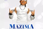 AUDIO Fresh Kid - Mazima MP3 DOWNLOAD