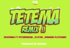 AUDIO Rayvanny - Tetema Remix Ft. Diamond Platnumz X Patoranking X Zlatan MP3 DOWNLOAD