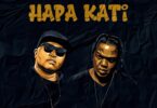 AUDIO Kassim Mganga - Hapa Kati Ft AY Masta MP3 DOWNLOAD