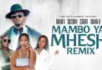 VIDEO Bahati – Mambo Ya Mhesh Remix Ft Diana B X Ssaru X Sosuun MP4 DOWNLOAD