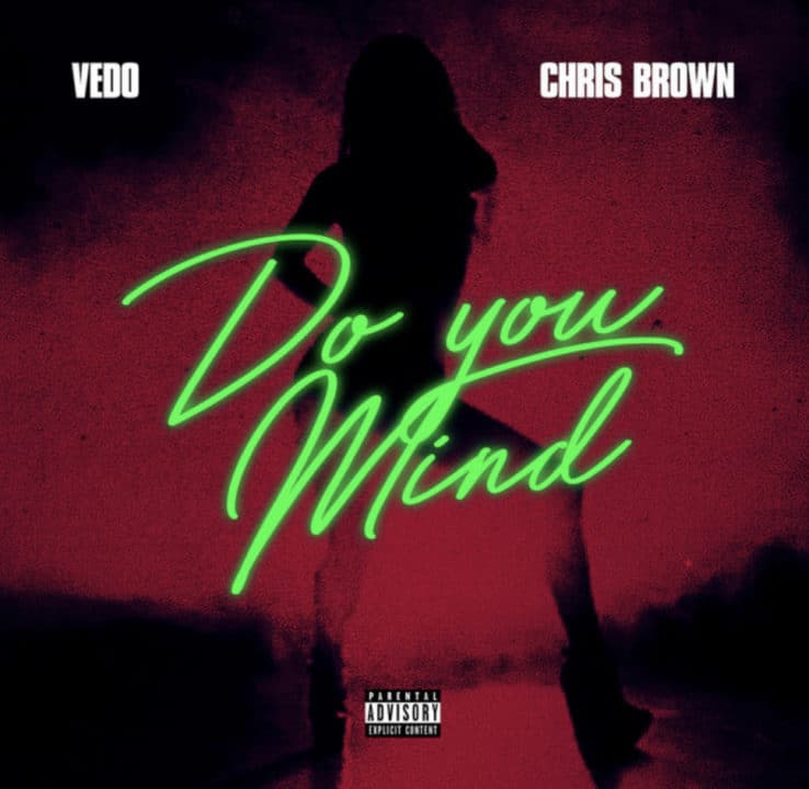 Vedo Ft. Chris Brown - Do You Mind Lyrics