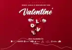 AUDIO Dogo Janja - Valentine Ft Geniusjini X66 MP3 DOWNLOAD