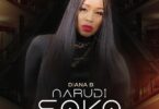 AUDIO Diana Bahati - Narudi Soko MP3 DOWNLOAD