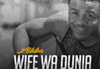 AUDIO Alikiba - Wife wa Dunia MP3 DOWNLOAD