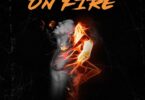 AUDIO Alikiba - On Fire MP3 DOWNLOAD