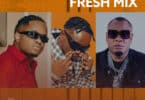 Download Amapiano Fresh Mix Ft Whozu,Babalevo Na Marioo ndani Ya Mdundo