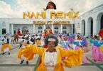 VIDEO Zuchu – Nani (Remix) Ft Innoss B MP4 DOWNLOAD