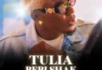 AUDIO Willy Paul – Tulia ( Bebi Shak ) MP3 DOWNLOAD