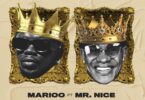 AUDIO Marioo - Shisha Ft Mr. Nice MP3 DOWNLOAD