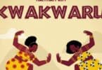 AUDIO Haitham Kim – Kwakwaru MP3 DOWNLOAD