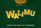 AUDIO Christian Bella - Walimu Ft Barnaba MP3 DOWNLOAD