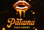 AUDIO Feza Kessy – Patamu MP3 DOWNLOAD