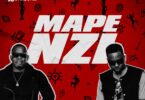 AUDIO Seneta Worldwide Ft G Nako - Mapenzi MP3 DOWNLOAD