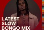 Pakua Latest Slow Bongo Mix Inayomshirikisha Genius Jini huku Ukisambaza Shangwe