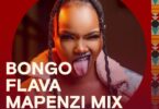 Pakua Bongo Flava Mapenzi Mix Inayomshirikisha Rosa Ree Ndani ya Mdundo