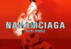 Listen to Seyi Vibez - NAHAMciaga Album