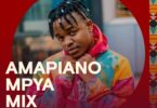 Pakua Amapiano Mix Inayomshirkisha Whozu Ndani Ya Mdundo
