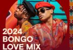 Download Bongo Love Mix ft. Mabantu Hapa Mdundo