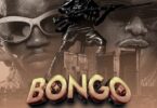 AUDIO Whozu Ft Marioo – Bongo MP3 DOWNLOAD